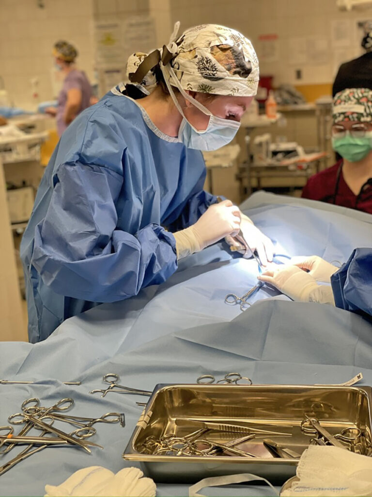 A veterinarian performing surgery in a clinical setting.