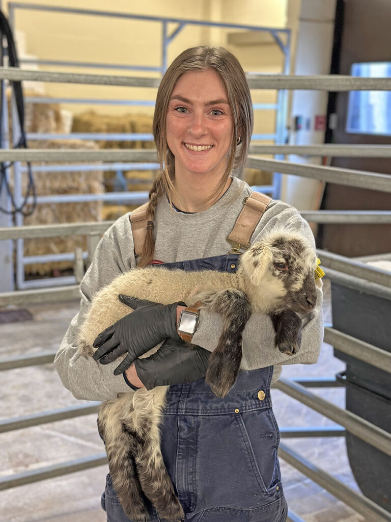 An individual holding a baby lamb.