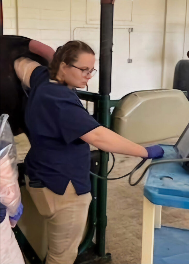 Emily Verwers performing an ultrasound on a mare.