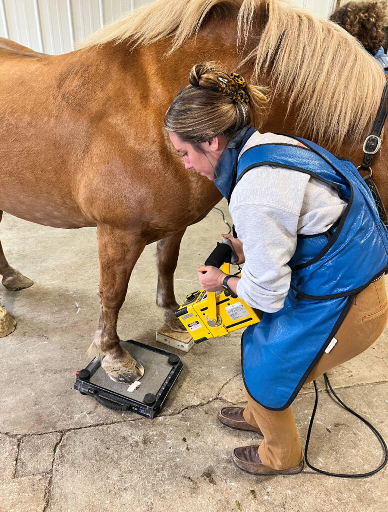 Gina Kowalewicz looking at a horse's hoof.