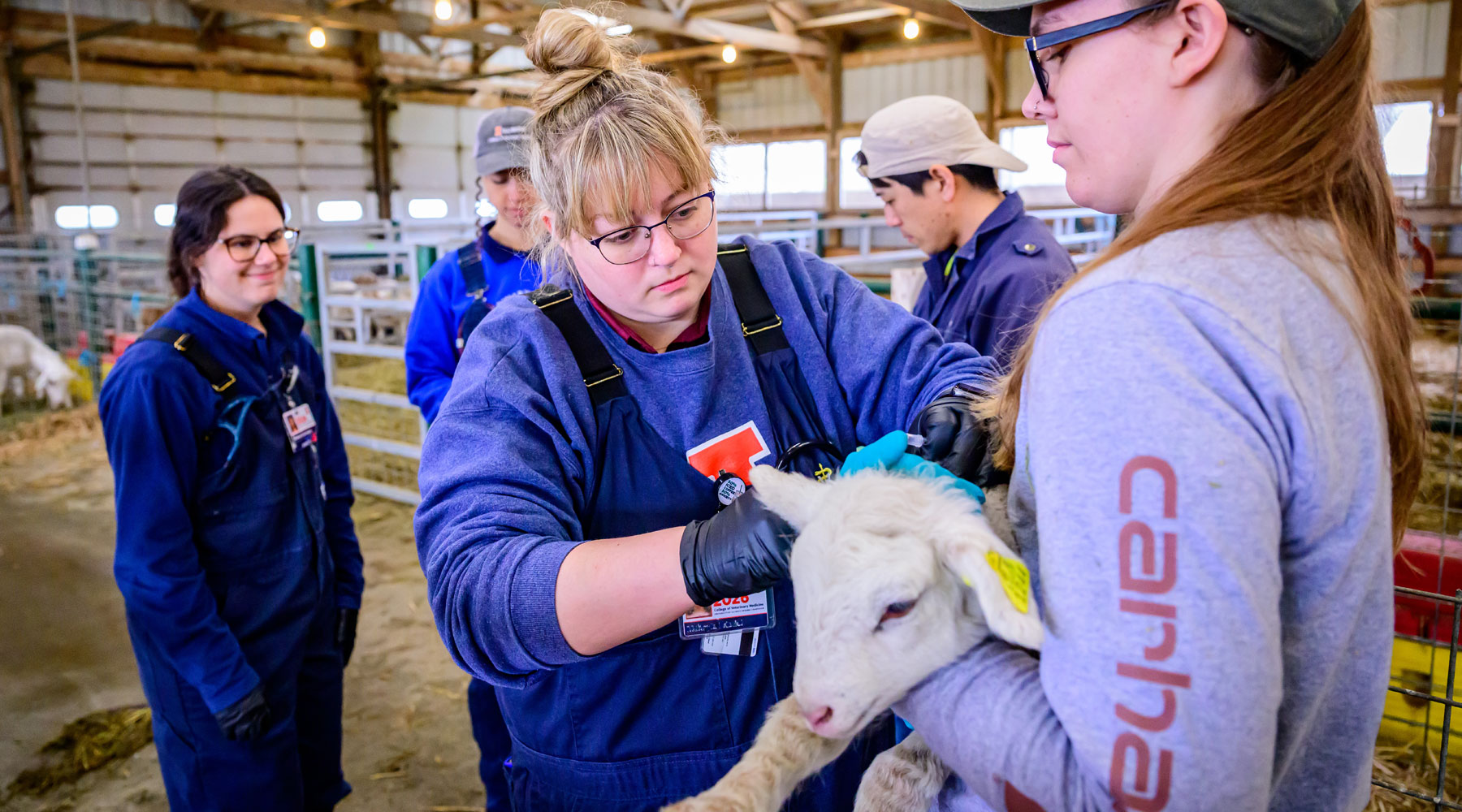College of Veterinary Medicine Veterinary Medicine at Illinois