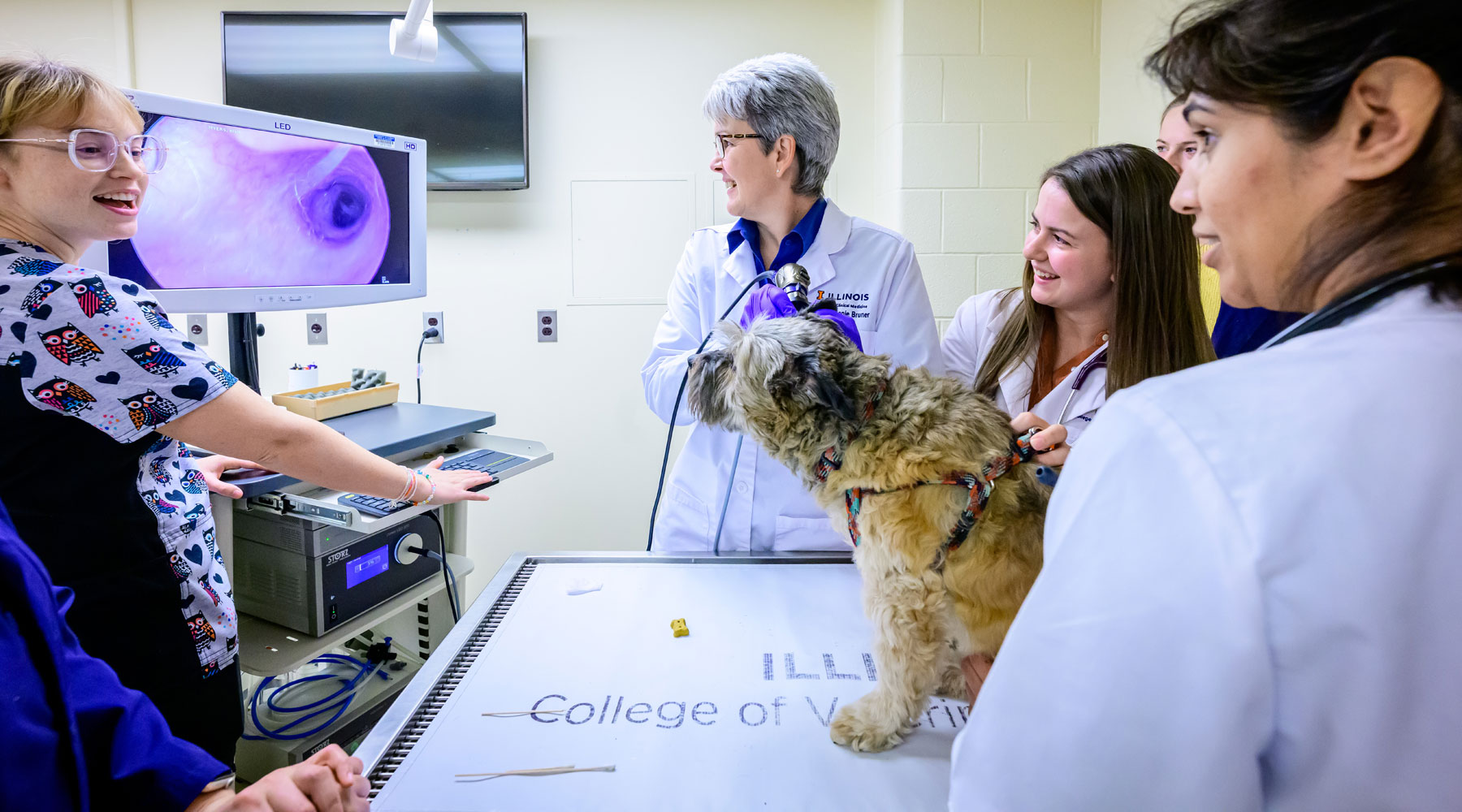 College of Veterinary Medicine Veterinary Medicine at Illinois