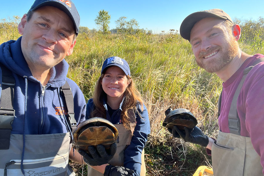 Drs. Matt Allender, Eliza Baker, and John Winter, in the field with turtles