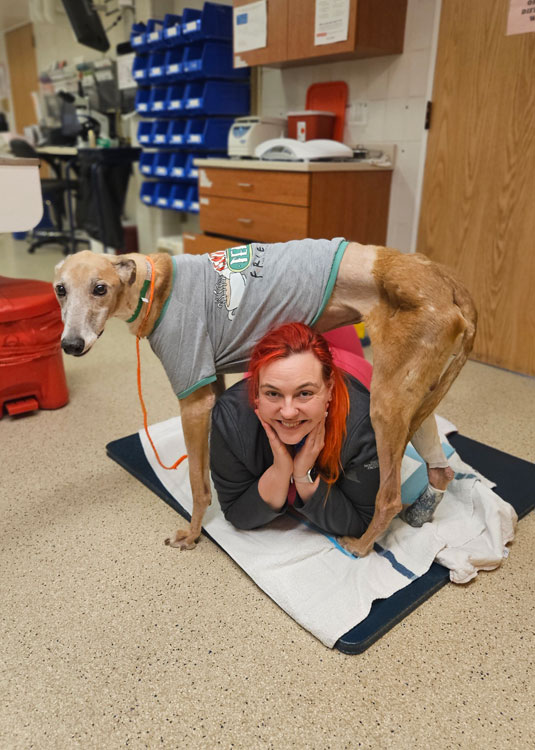 Dr. Laura Marti poses with Bacchus once he was out of the woods and on his way to recovery.
