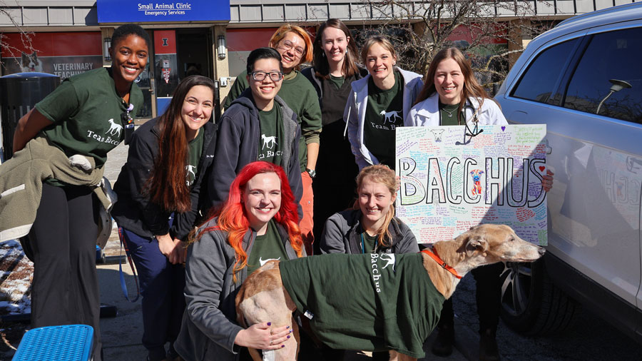 Nine cregivers of Bacchus the greyhound send him home with matching t-shirts and a poster signed by many people