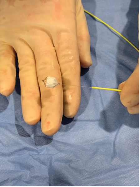 Medtronic Microvascular Plug (MVP) device