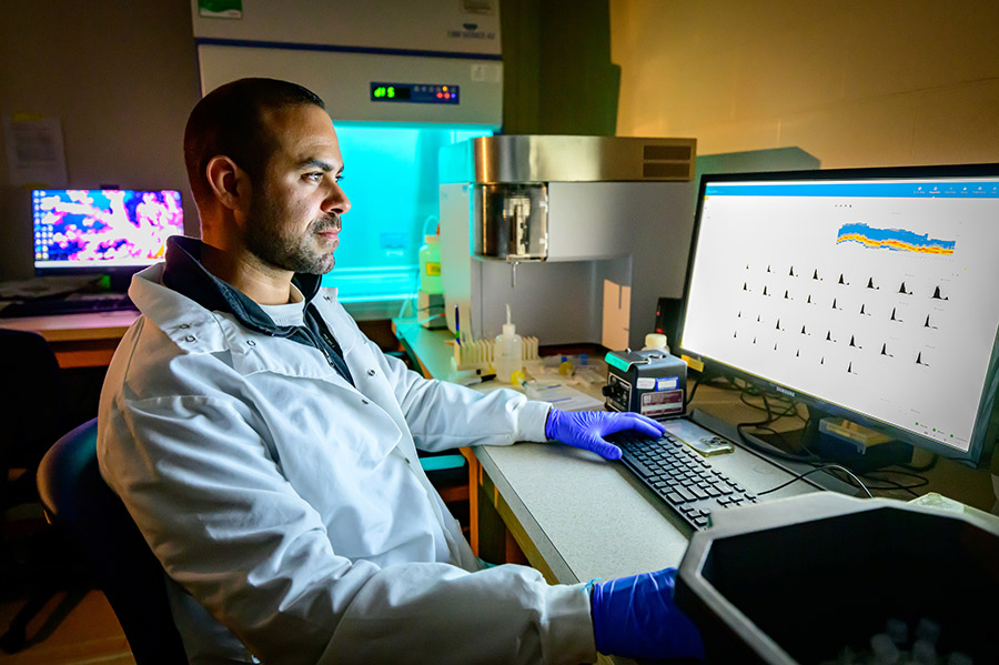Ph.D. student Matheus Moreno Passos Barbosa looking at a computer screen of research in a clinical setting.