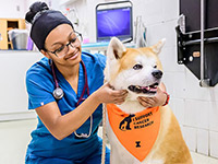 Veterinarian sitting next to a smiling dog wearing an orange bandana
