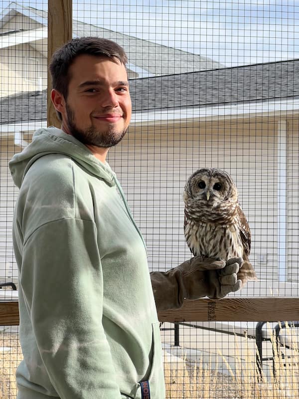 Jacob Dalen former Wildlife Ambassador Care Coordinator and former barred owl ambassador Vara on the glove.