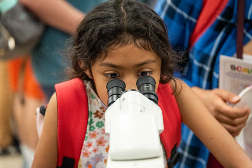 child looking in microscope at Vet Med Open House 2024
