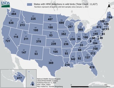 Map of the United States with number of HPAI detections in Wild Birds in 2022.