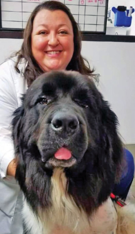 Dr. Bridget Morton with a dog.