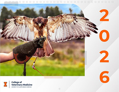 2026 Wildlife Medical Clinic Calendar with a hawk with the wings spread sitting on a handler. College branding.