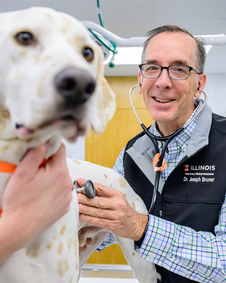 Dr. Joe Bruner examines a dog