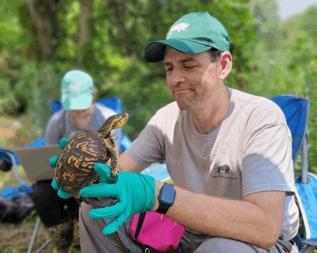 Matt Allender holding a turtle.
