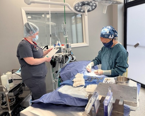 Dr. Jessica Von Waldau at right in operating room