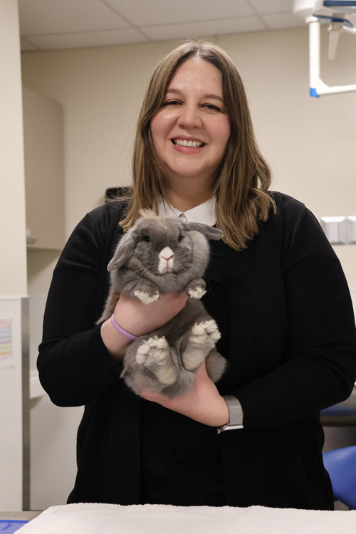 Dr. Mariana Sosa Higareda holding a rabbit in an exam room