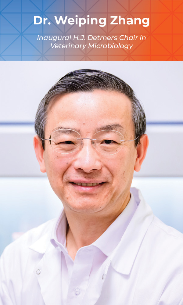 Dr. Weiping Zhang, Inaugural H.J. Detmers Chair in Veterinary Microbiology