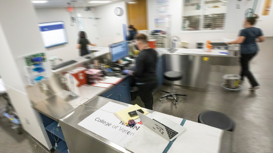 A photo of people moving in a veterinary lab