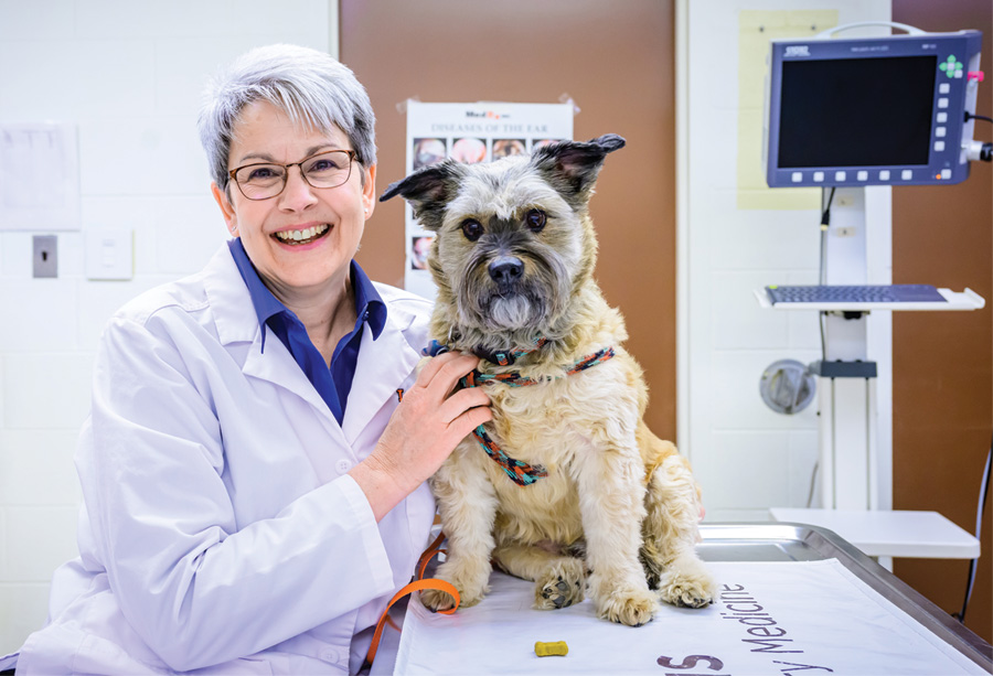 Dr. Stephanie Bruner with a dog in an exam room