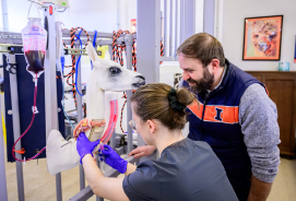 Clinical care practice on a model in the clinical skills learning center.