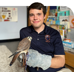 veterinary student at the wildlife medical clinic holding a bird