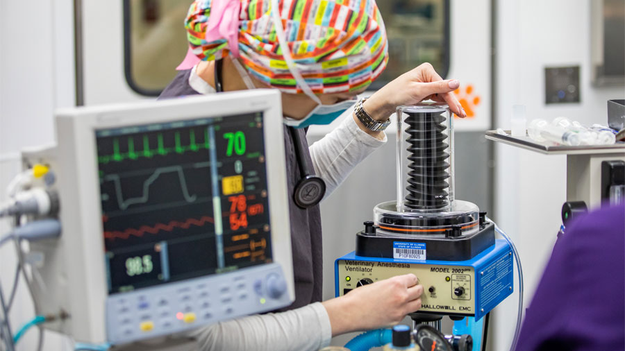 anesthesia technician checks equipment in operating room
