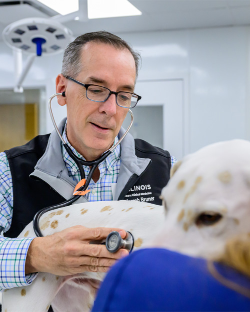 Dr. Joseph Bruner listens to a dog's respiratory system
