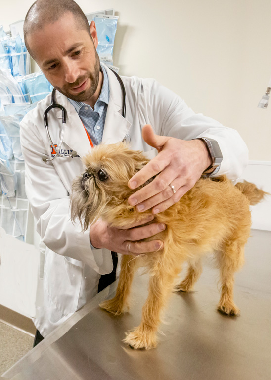 Dr. Gene Pavlovsky examines dog