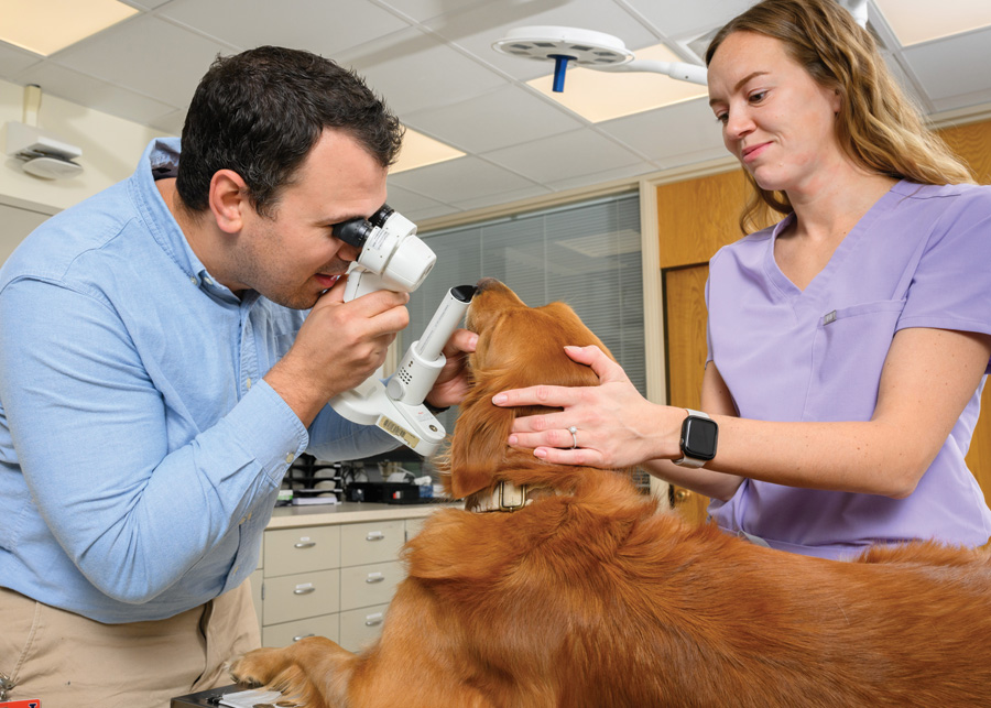 Dr. Todd Marlo examines a dog's eye