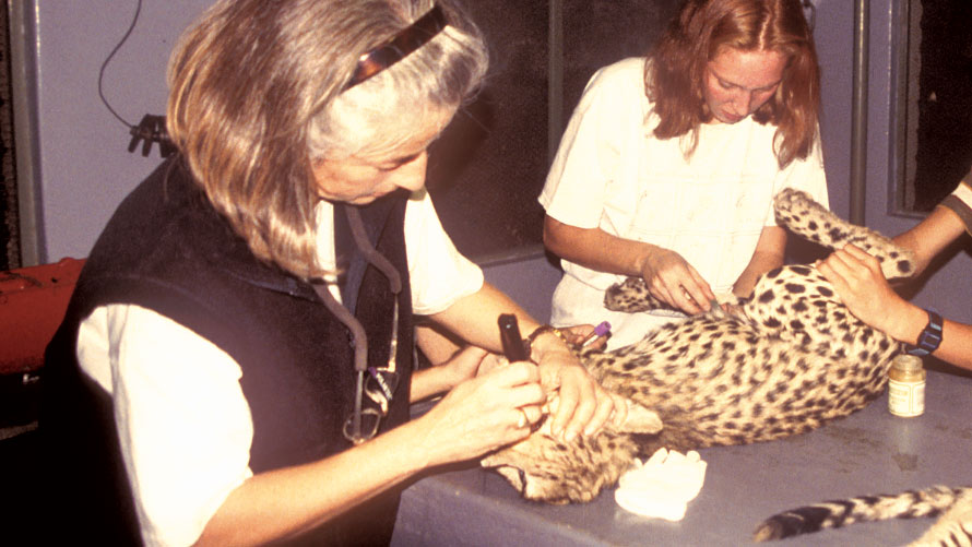 Wildlife disease expert Dr. Linda Munson, left, trained Dr. Karen Terio in zoological pathology and inspired her career path. Photo courtesy Karen Terio