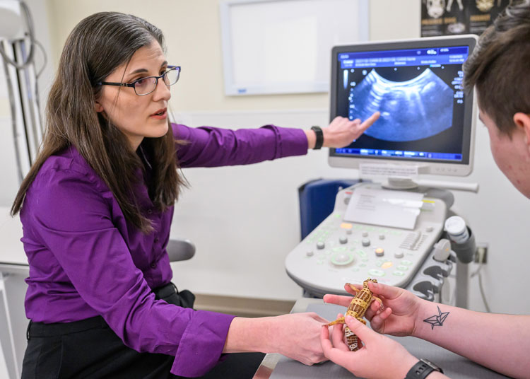 Dr. Judilee Marrow images a reptile