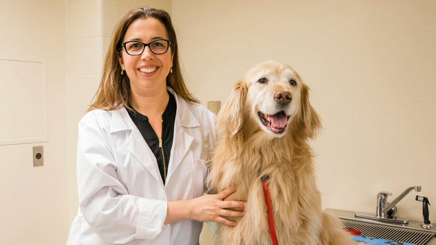 Dr. Clarissa Souza with a golden retriever
