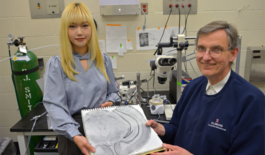 Jinrui Lyu and Uwe Rudolph hold an illustration of a mouse hippocampus,