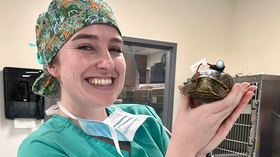 Dr. Lauren Vincent holds Oneida after surgery