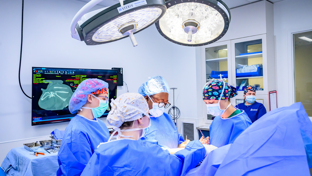 Illinois veterinary surgeons
