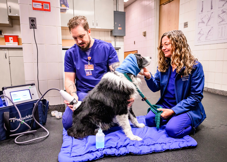 Austin Powell and Kim Knap care for dog