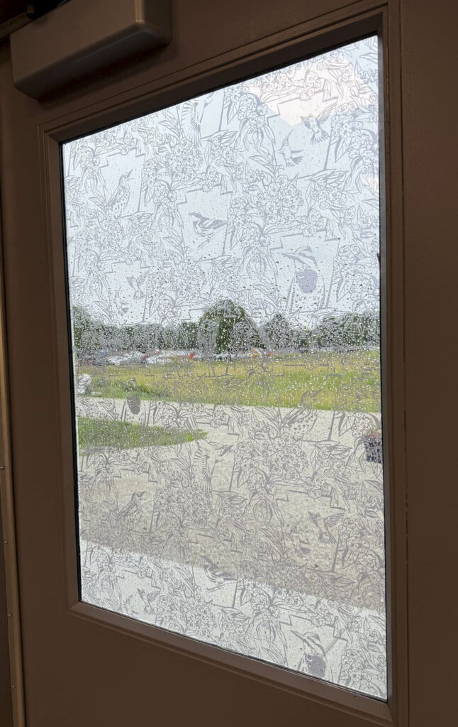 Window on a door covered in bird friendly window treatment which is opaque bird silhouettes.