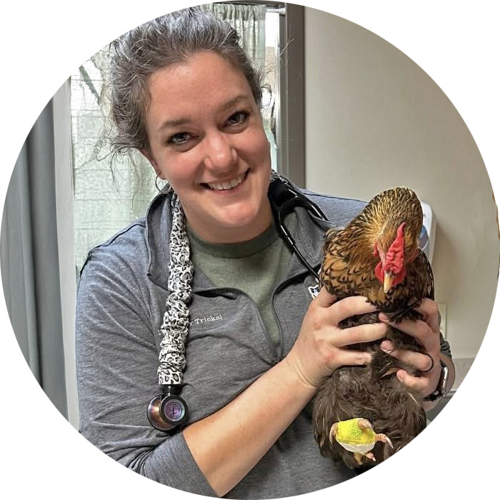 Dr. Lindsay Trickel