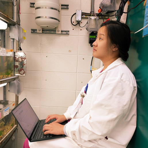 Helen Zhang in Bell lab