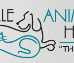 Naperville Animal Hospital