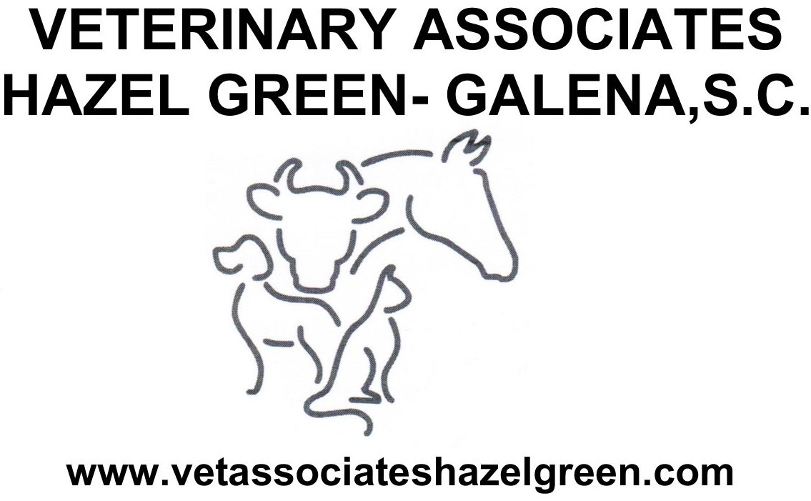 Associate Veterinarian - Veterinary Medicine at Illinois