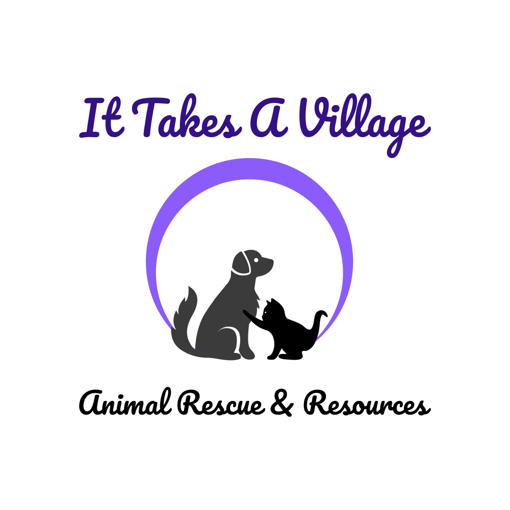 Veterinarian - Veterinary Medicine at Illinois