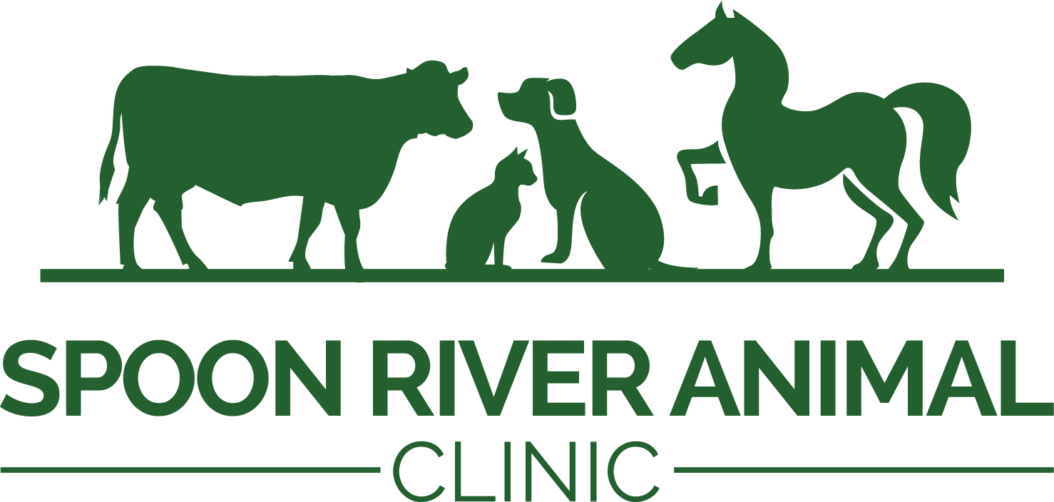 Mixed Animal DVM | Mentorship Available! | Canton, IL - Veterinary Medicine  at Illinois