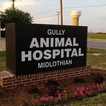 Gully animal store hospital near me