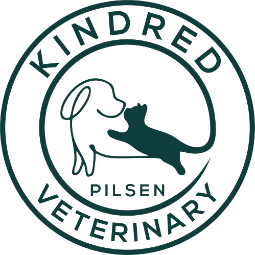 Kindred Veterinary Pilsen logo