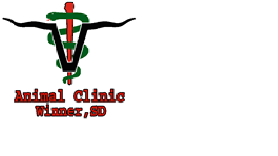 Animal Clinic Winner, SD logo