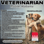 Great Oaks Veterinary Hospital